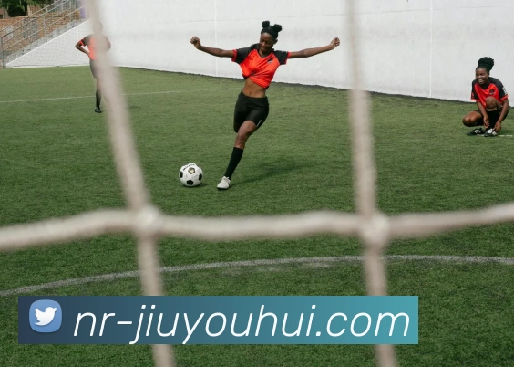 App Interface Preview